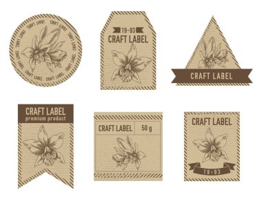 Laelia illüstrasyonlu vintage tasarımı