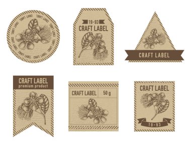 Fayjoa çiçeklerinin resmedildiği vintage tasarımı