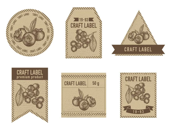 Řemeslné etikety vinobraní design s ilustrací borůvek — Stockový vektor