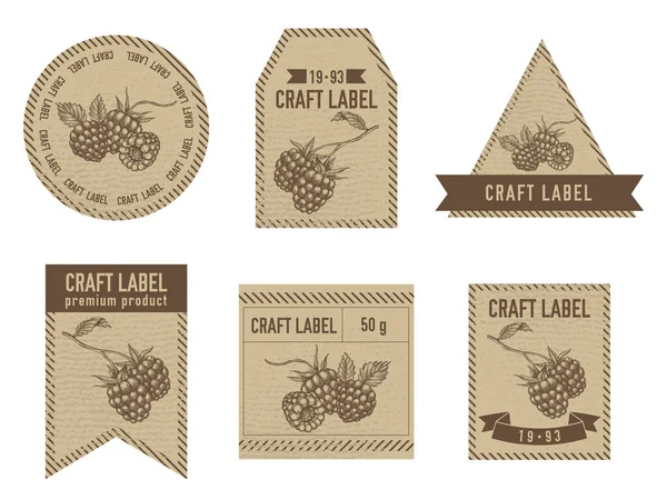 Craft labels vintage design with illustration of raspberry — Stock Vector