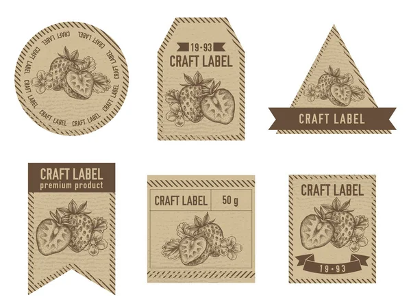 Etiquettes artisanales design vintage avec illustration de fraise — Image vectorielle