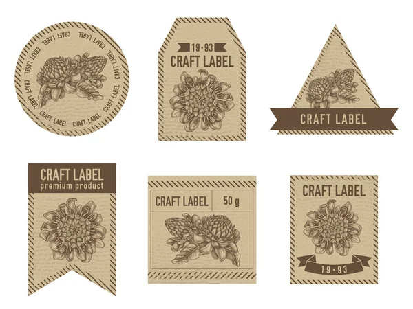 Handwerk Etiketten Vintage Design mit Illustration von etlingera — Stockvektor