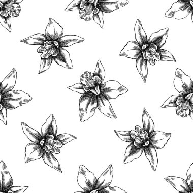 Siyah beyaz laelia ile kusursuz desen