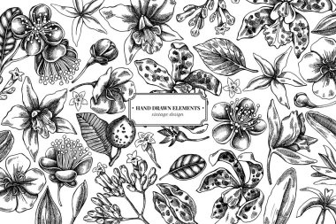 Siyah beyaz laelia çiçekli çiçek tasarımı, feijoa çiçekleri, görkemli çalılık, papilio torquatus, cinchona, cattleya aclandiae