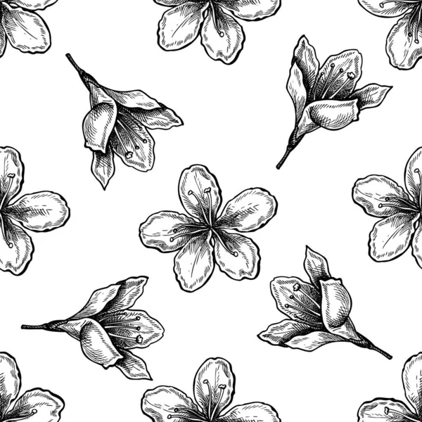 Nahtloses Muster mit schwarzen und weißen Pflaumenblüten — Stockvektor
