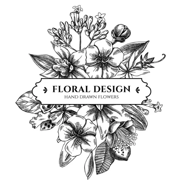 Desain buket bunga dengan laelia hitam dan putih, bunga feijoa, semak kemuliaan, papilio torquatus, cinchona, cattleya aclandiae - Stok Vektor