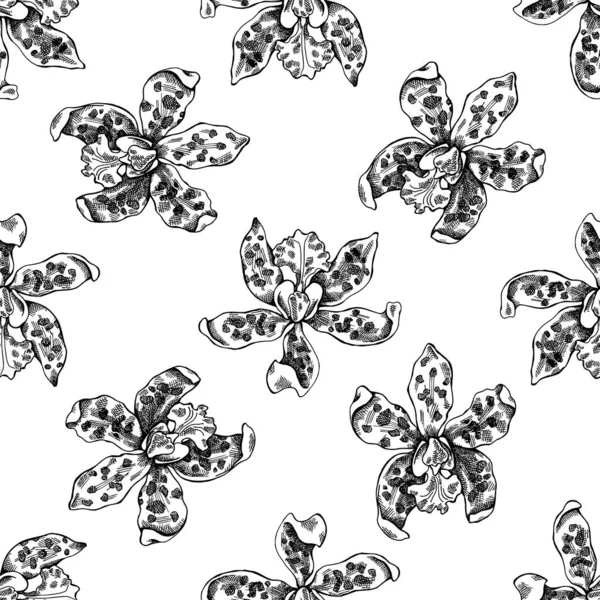 Seamless pattern with black and white cattleya aclandiae — Stock Vector