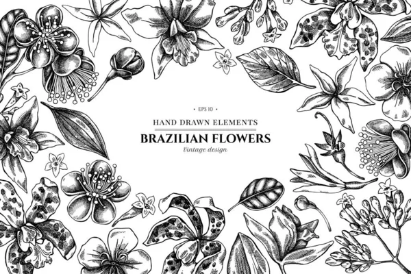 Desenho floral com laelia preto e branco, flores feijoa, arbusto glória, papilio torquatus, cinchona, cattleya aclandiae — Vetor de Stock