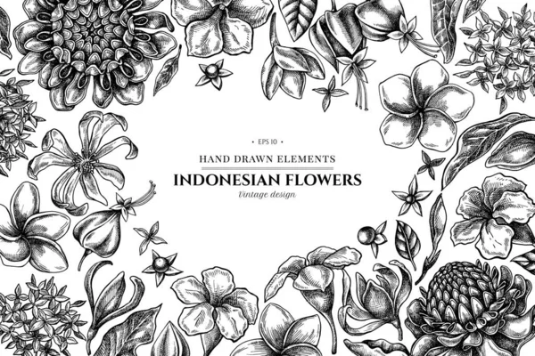 Design floral com plumeria preto e branco, allamanda, clerodendrum, champak, etlingera, ixora —  Vetores de Stock