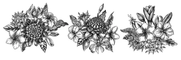 Buquê de flores de plumeria preto e branco, allamanda, clerodendrum, champak, etlingera, ixora —  Vetores de Stock