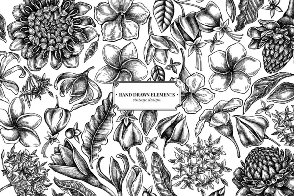 Diseño floral con plumeria en blanco y negro, allamanda, clerodendrum, champak, etlingera, ixora — Archivo Imágenes Vectoriales