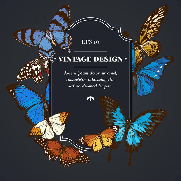 Design scuro distintivo con morpho blu, allacciatura rossa, coda forcuta gigante africana, alcidi agathyrsus, grande punta arancione, semplice tigre — Vettoriale Stock