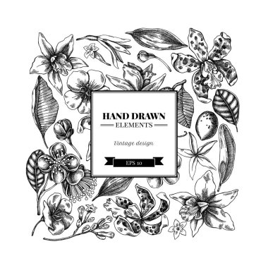 Siyah beyaz laelia, feijoa çiçekleri, görkemli çalı, papilio torquatus, cinchona, cattleya aclandiae