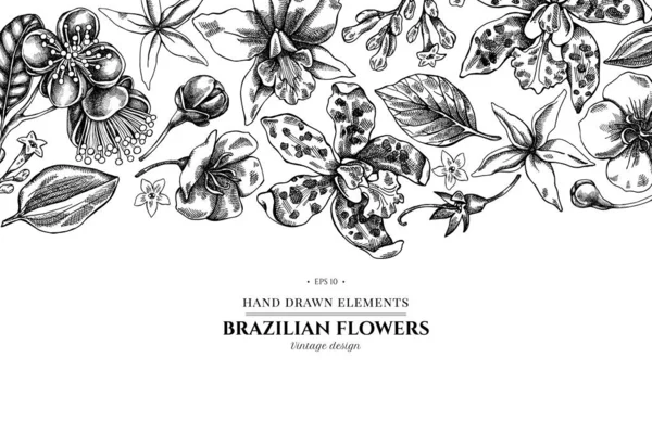 Diseño floral con laelia en blanco y negro, flores de feijoa, arbusto de gloria, papilio torquatus, cinchona, cattleya aclandiae — Vector de stock