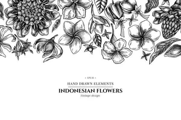 Blumenmuster mit schwarz-weißem Federkleid, Allamanda, Klerikaltrommel, Champak, Eglingera, Ixora — Stockvektor