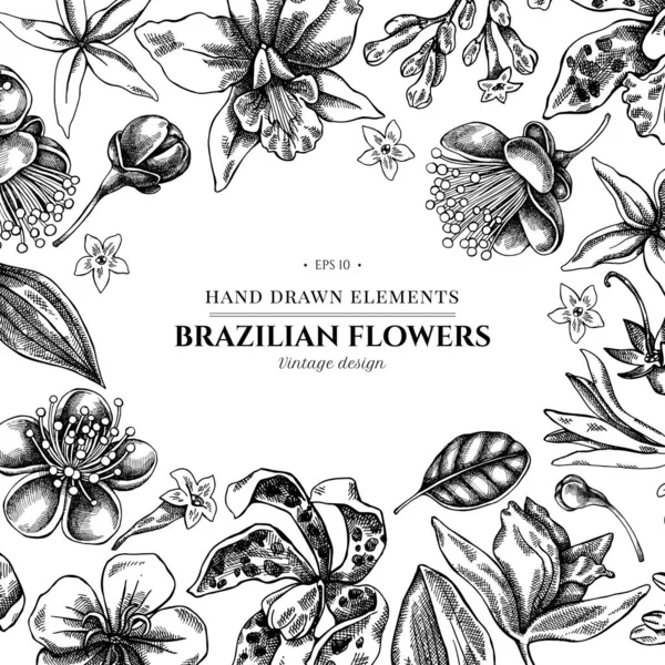 Desenho floral com laelia preto e branco, flores feijoa, arbusto glória, papilio torquatus, cinchona, cattleya aclandiae — Vetor de Stock