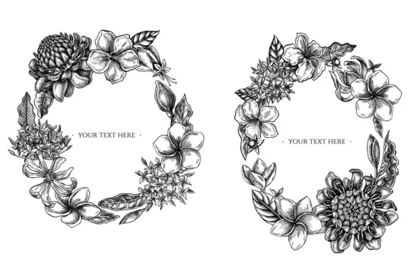 Corona floral de plumeria en blanco y negro, allamanda, clerodendrum, champak, etlingera, ixora — Archivo Imágenes Vectoriales