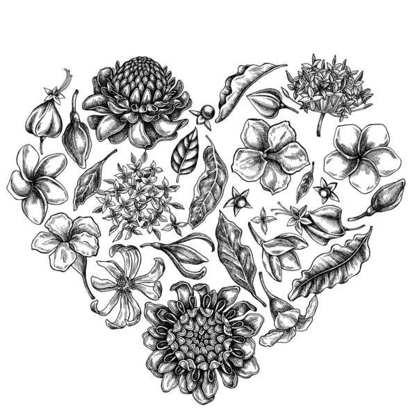 Siyah beyaz plumeria, allamanda, clerodendrum, champak, etlingera, ixora ile kalp çiçek tasarımı — Stok Vektör