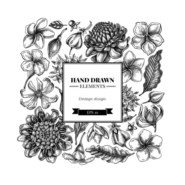 Projeto floral quadrado com plumeria preto e branco, allamanda, clerodendrum, champak, etlingera, ixora —  Vetores de Stock
