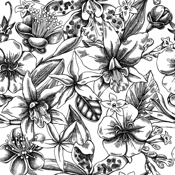 Seamless pattern with black and white laelia, feijoa flowers, glory bush, papilio torquatus, cinchona, cattleya aclandiae — Stock Vector