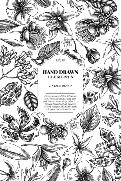 Projeto de cartão com laelia preto e branco, flores feijoa, arbusto de glória, papilio torquatus, cinchona, cattleya aclandiae —  Vetores de Stock