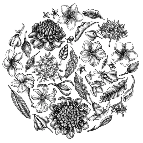 Rundflorales Design mit schwarz-weißer Plumeria, Allamanda, Klerodentrommel, Champak, Eglingera, Ixora — Stockvektor