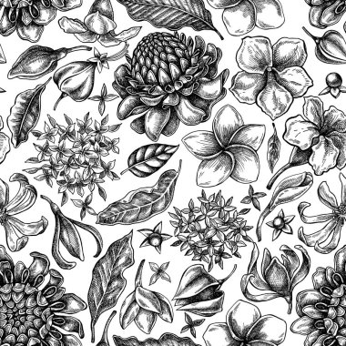 Plumeria, allamanda, clerodendrum, champak, etlingera, ixora ile kusursuz desen.