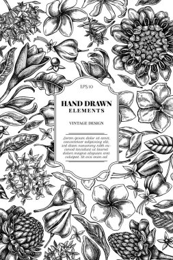 Siyah ve beyaz plumeria, allamanda, katip davulu, champak, etlingera, ixora