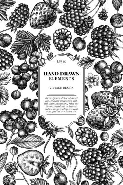 Siyah beyaz çilekli kart tasarımı, yaban mersini, kırmızı frenk üzümü, ahududu, böğürtlen