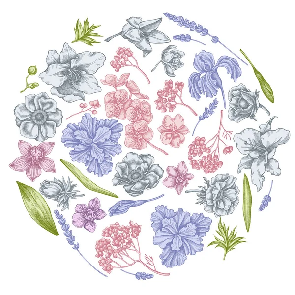Круглий квітковий дизайн з пастельним анемоном, лавандою, вічним розмарином, фаленопсисом, лілією, ірисом — стоковий вектор