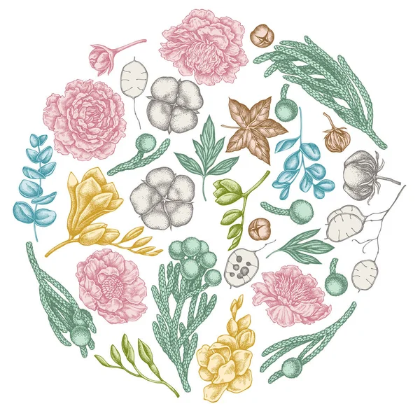 Diseño floral redondo con ficus pastel, eucalipto, peonía, algodón, freesia, brunia — Vector de stock