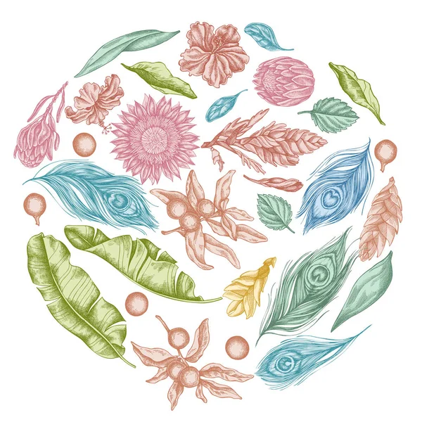 Круглий квітковий дизайн з пастельним листям бананової пальми, гібіскусом, соланом, бромелією, пір'ям павича, протеа — стоковий вектор