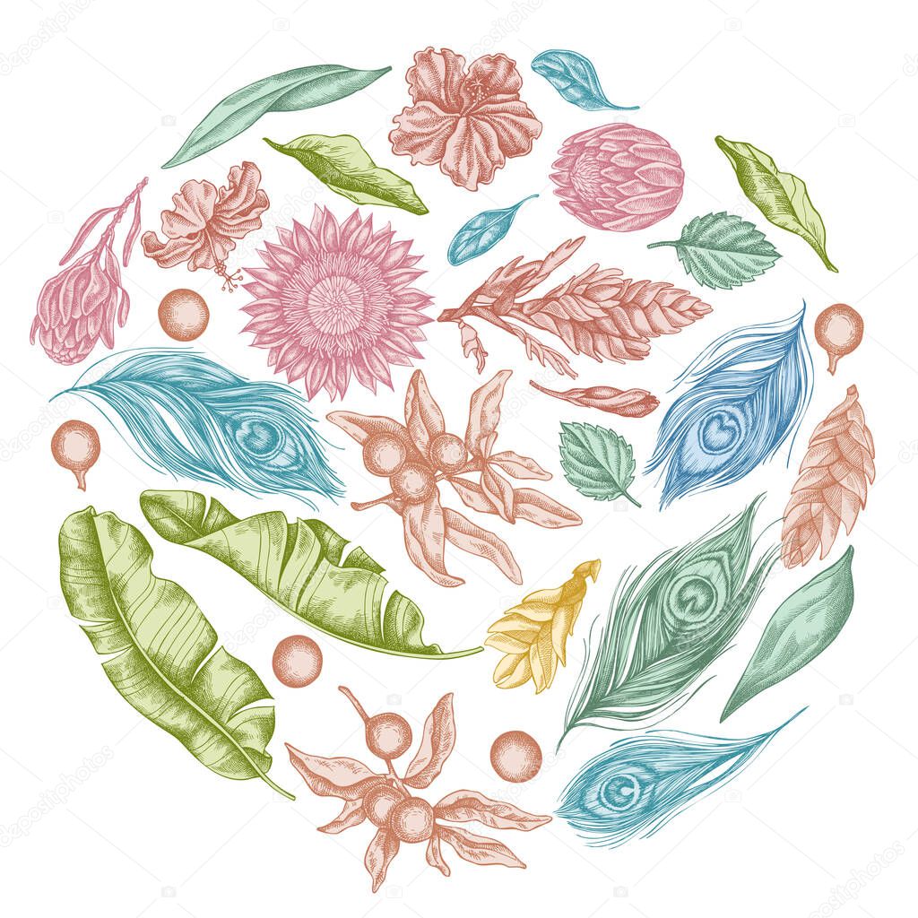 Round floral design with pastel banana palm leaves, hibiscus, solanum, bromeliad, peacock feathers, protea stock illustration