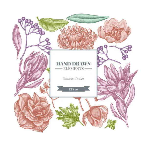Diseño floral cuadrado con viburno pastel, hypericum, tulipán, astro, leucadendro, amarilis — Vector de stock