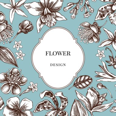 Tasarım yerine Laelia, feijoa çiçekleri, görkemli çalılık, papilio torquatus, cinchona, cattleya aclandiae