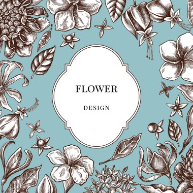 Plumeria, allamanda, katip davulu, champak, etlingera, ixora...