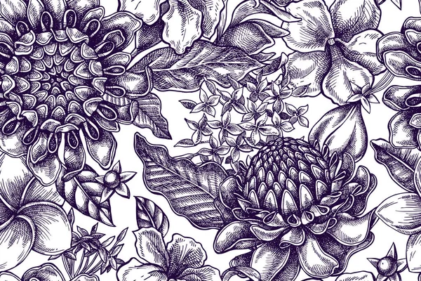 Plumeria, allamanda, clerodendrum, champak, etlingera, ixora ile sanatsal kusursuz desen — Stok Vektör