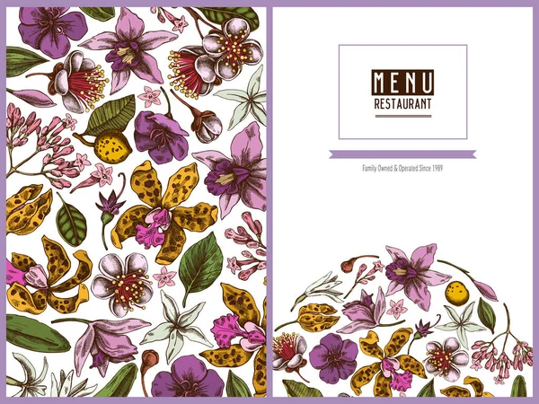 Projeto floral de capa de menu com laelia colorida, flores feijoa, arbusto de glória, papilio torquatus, cinchona, cattleya aclandiae — Vetor de Stock