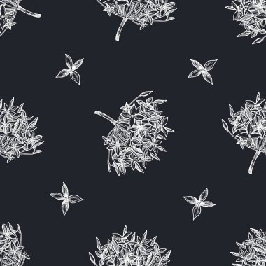 Elle çizilmiş tebeşirsiz desen ixora