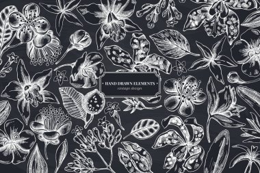 Tebeşir laelia, feijoa çiçekleri, görkemli çalılık, papilio torquatus, cinchona, cattleya aclandiae