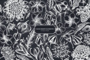 Tebeşir tesisatı, allamanda, katip davulu, şampanya, etlingera, ixora...