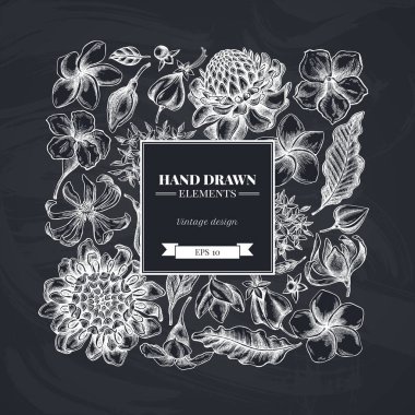 Tebeşir, allamanda, katip davulu, şampanyalı, etlingera, ixora...