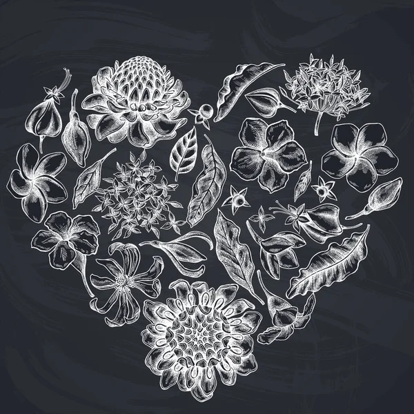 Hart bloemen ontwerp met krijt plumeria, allamanda, clerodendrum, champak, etlingera, ixora — Stockvector