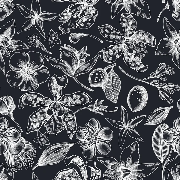 Seamless pattern with hand drawn chalk laelia, feijoa flowers, glory bush, papilio torquatus, cinchona, cattleya aclandiae — Stock Vector