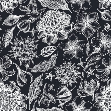 Elle çizilmiş tebeşir, allamanda, katip davulu, şampanya, etlingera, ixora...