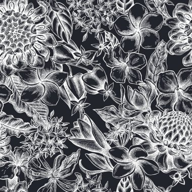 Elle çizilmiş tebeşir, allamanda, katip davulu, şampanya, etlingera, ixora...