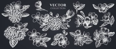 Tebeşir çiçekleri, erik çiçekleri, şeftali çiçekleri, sakura çiçekleri, manolya çiçekleri, kamelya japonica