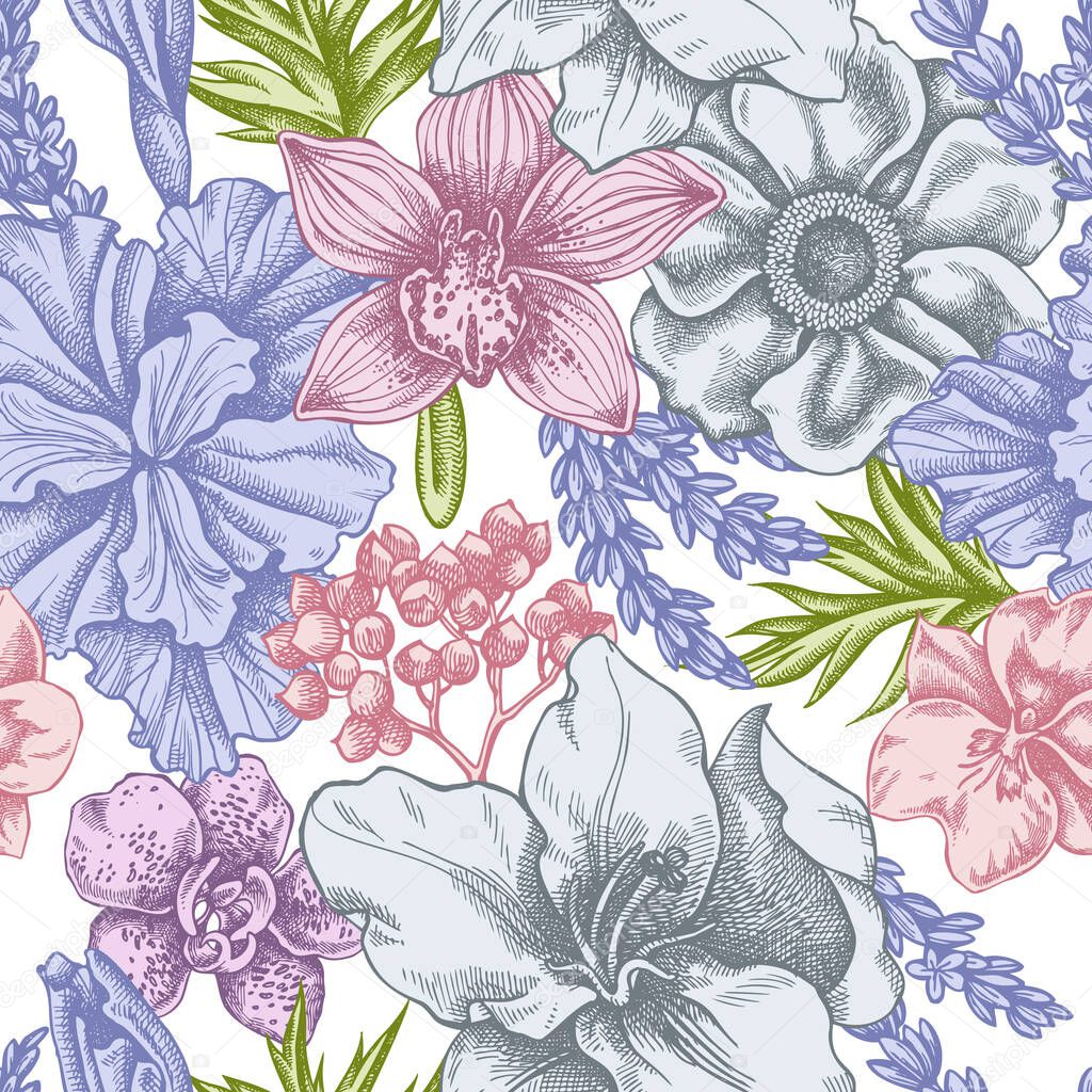 Seamless pattern with hand drawn pastel anemone, lavender, rosemary everlasting, phalaenopsis, lily, iris