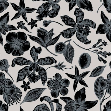 Kusursuz desenli, el çizimi laelia, feijoa çiçekleri, görkemli çalı, papilio torquatus, cinchona, cattleya aclandiae