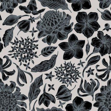 Plumeria, allamanda, katip davulu, champak, etlingera, ixora...